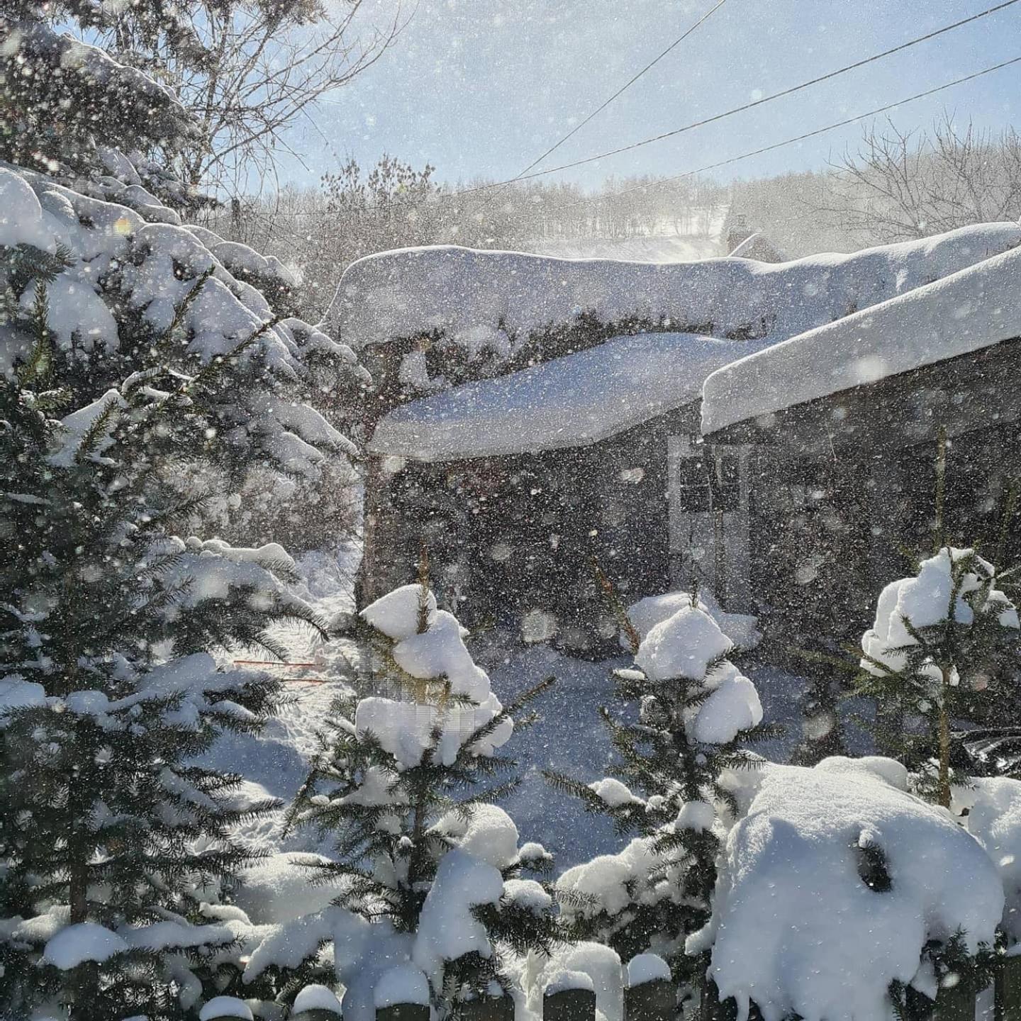 Czeresniowy Dom Chalet Jarkowice (Lubawka)